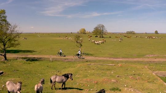 Rowerem wokół Zalewu Szczecińskiego