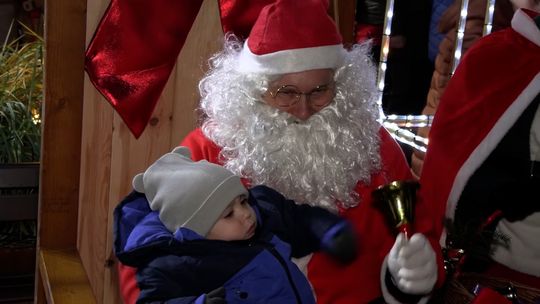 Żywa choinka rozświetliła Nowogard. Świąteczny jarmark przyciągnął tłumy na Plac Wolności!