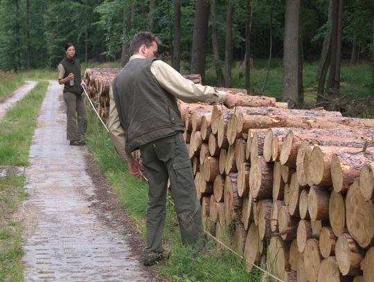 Czego nie wolno leśnikowi? Mieć tatuażu, nosić reklamówki i wielu innych rzeczy