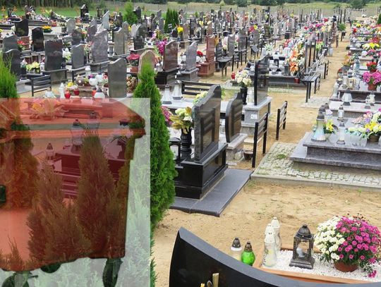 Czerwone pojemniki także na cmentarzach. To trzeba do nich wrzucać Czerwone pojemniki także na cmentarzach. To trzeba do nich wrzucać