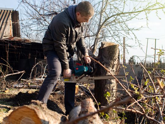 Dzika wycinka drzewa może nam zrujnować kieszeń. Taniej jest nie obchodzić prawa