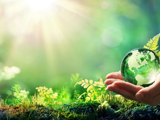 Jak efektywnie zarządzać odpadami w firmie? Praktyczne wskazówki od Stena Recycling w Szczecinie