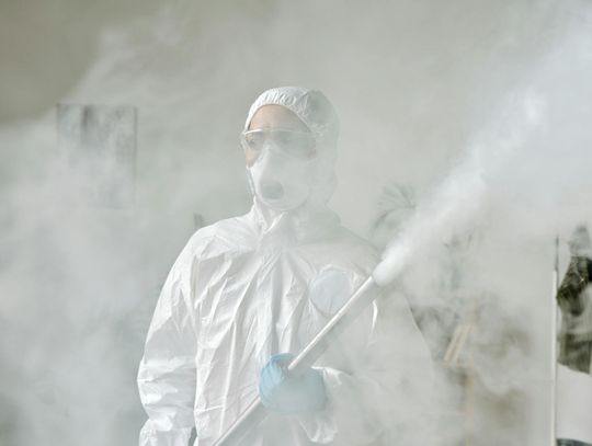 Jak skutecznie pozbyć się pluskiew: Kompleksowy przewodnik i porady od firmy zajmującej się zwalczaniem szkodników