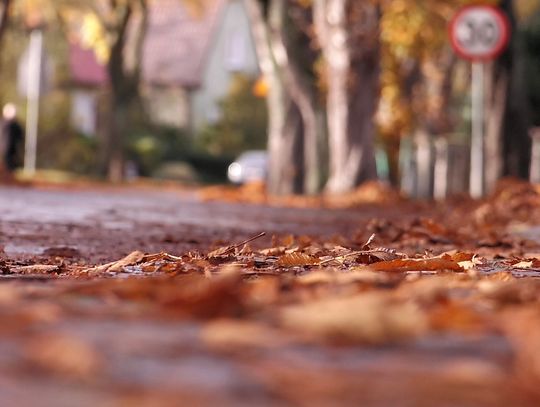 Komendant Straży Miejskiej w Świnoujściu przypomina…