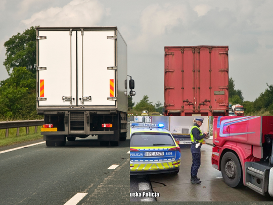 Na drogi wraca wyścig słoni. Ale tylko nocą Na drogi wraca wyścig słoni. Ale tylko nocą