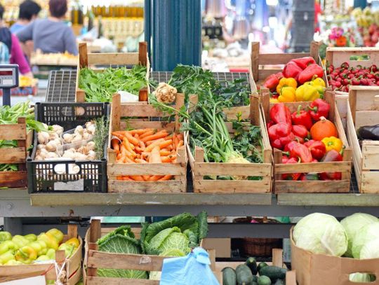 Najpierw ziemniaki, teraz kapusta. Plony obfite, rolnicy załamani Najpierw ziemniaki, teraz kapusta. Plony obfite, rolnicy załamani