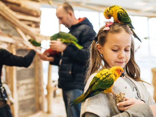 Papugarnia w Gdańsku: wyjątkowe miejsce pełne kolorów i egzotyki