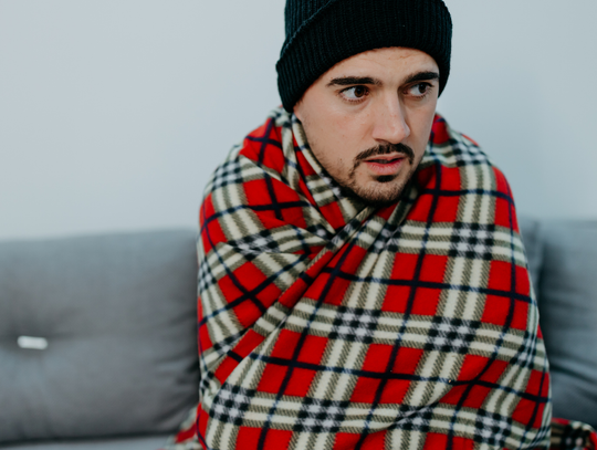 Pasożytują na innych. W sezonie korzystają z ciepła sąsiadów Pasożytują na innych. W sezonie korzystają z ciepła sąsiadów