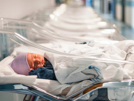 Pieniądze nie zwiększą liczby urodzeń. Trzeba się otworzyć na inne rozwiązania Pieniądze nie zwiększą liczby urodzeń. Trzeba się otworzyć na inne rozwiązania