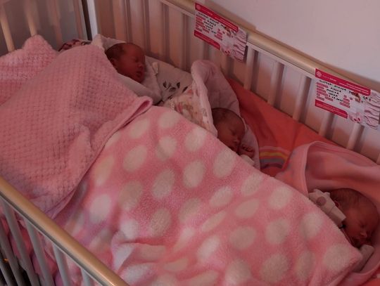 Pola, Julia i Zuzia są już w domu! Starosta wręczył szczęśliwym rodzicom wyjątkowy prezent