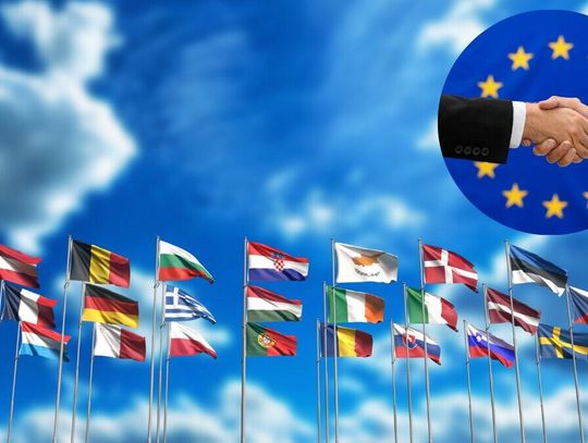 Polacy o polexicie. Najnowszy sondaż nie pozostawia złudzeń