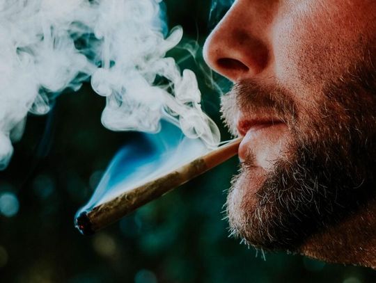 Polacy znów ustawili się w kolejkach po marihuanę medyczną Polacy znów ustawili się w kolejkach po marihuanę medyczną