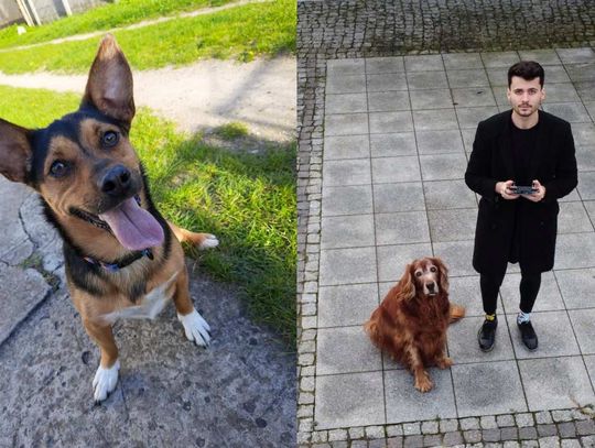 Polski student ratuje psy z użyciem nowych technologii