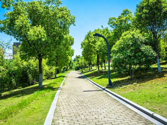 Projektowanie przestrzeni zielonych: inspiracje i nowe trendy