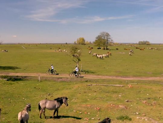 Rowerem wokół Zalewu Szczecińskiego