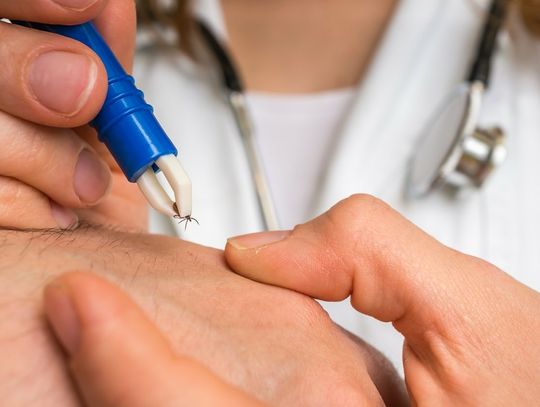 Testy przełomowej szczepionki na boreliozę. Wezmą w nich udział również Polacy
