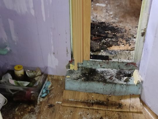 Trwa zbiórka dla Kamila i jego babci po pożarze domu w Świnoujściu.