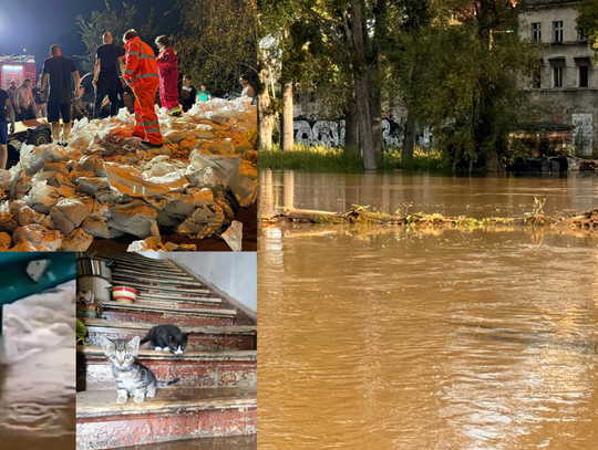 Upały, gwałtowne opady… To się samo nie zmieni