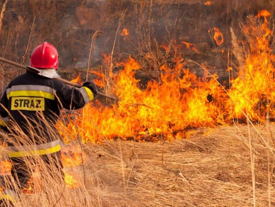 Zaczęło się wypalanie traw. Nie odstraszają nawet wysokie kary