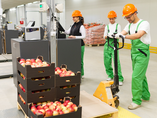 Zarabiamy mniej niż Zachód, chociaż gospodarka nam kwitnie