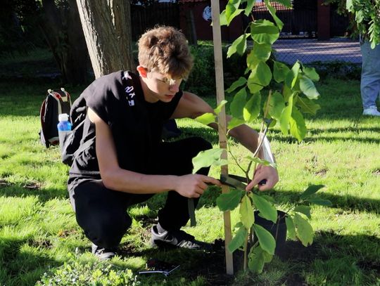 Żywa pamiątka jubileuszu społeczności „Herberta” Żywa pamiątka jubileuszu społeczności „Herberta”