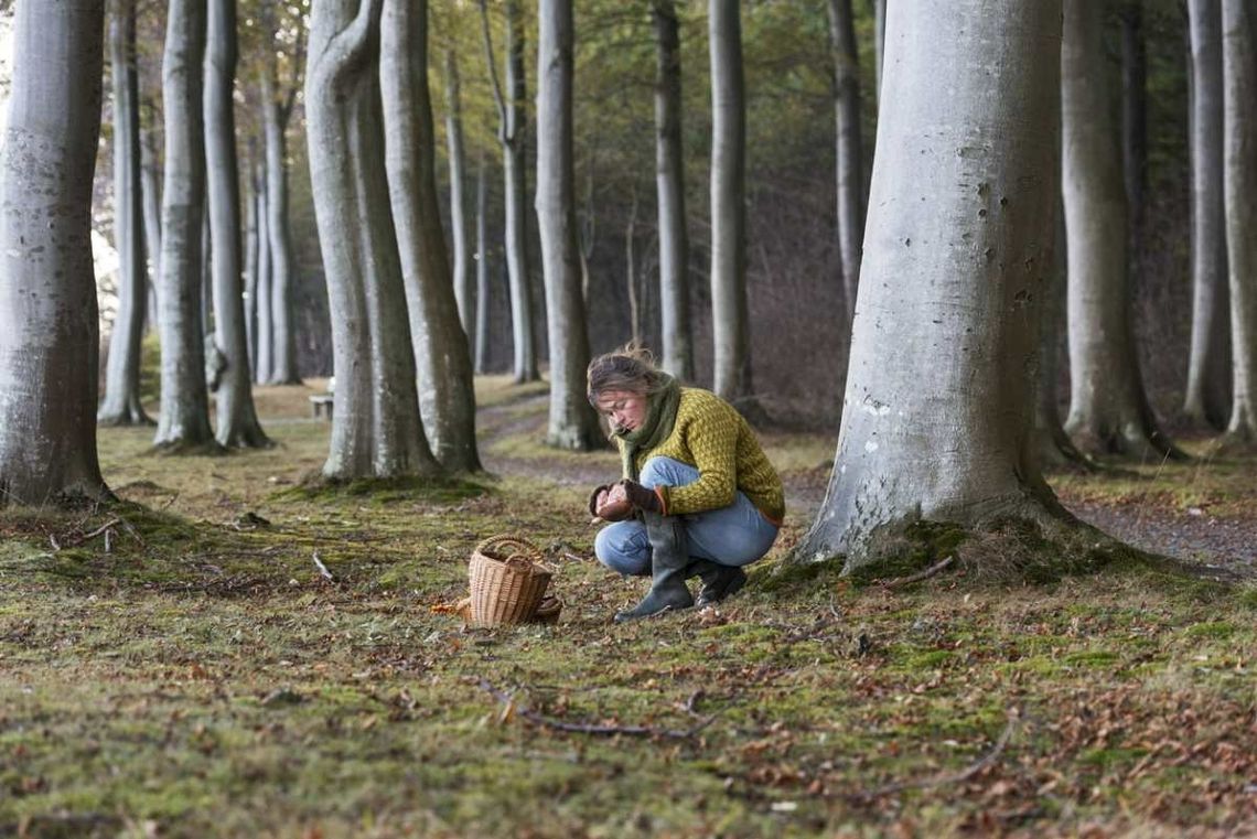 Przeczytaj, zanim wybierzesz się do lasu. Coraz więcej zgłoszeń