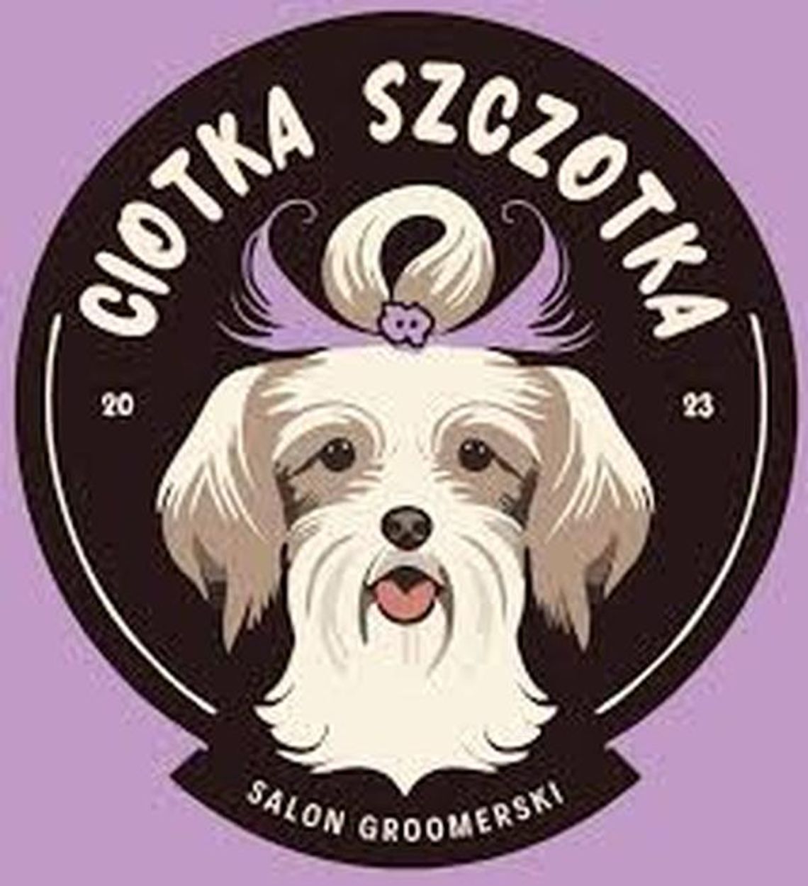 Ciotka Szczotka