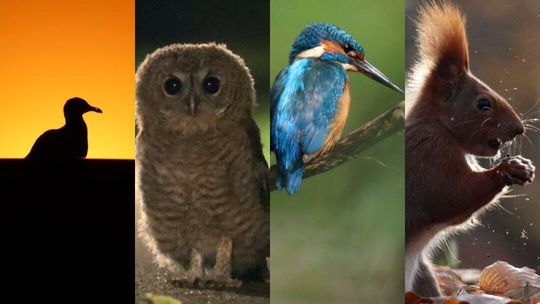 Wernisaż fotografii Agaty Ciechowskiej Wernisaż fotografii Agaty Ciechowskiej